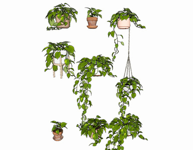 现代吊篮植物 su草图模型下载