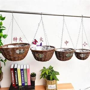 【吊篮盆栽植物】最新吊篮盆栽植物/批发报价