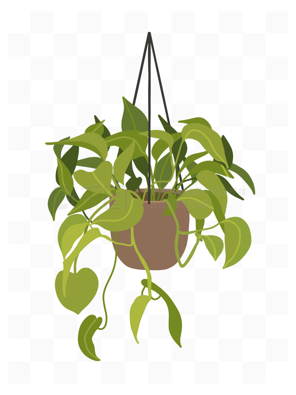 绿萝家居植物热带室内盆栽吊篮矢量图模板免费下载_eps格式_2180像素_编号43787335
